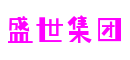广东省深圳市盛世集团科技股份有限公司